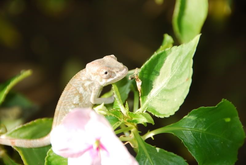 20070918022.jpg