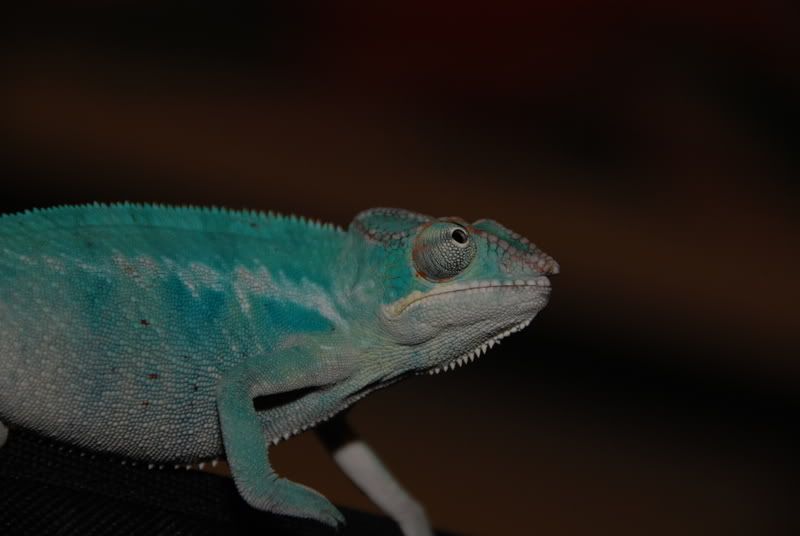 20071029007.jpg
