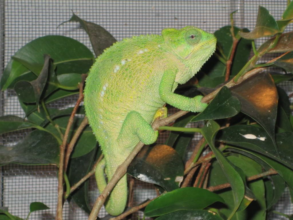 IMG_8149.jpg
