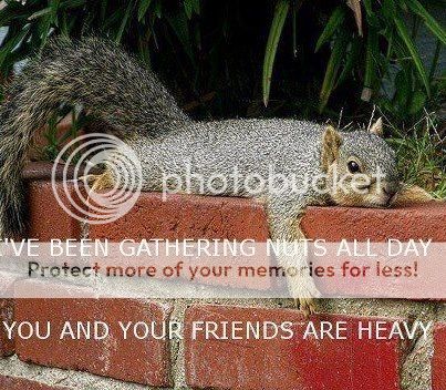 nutsareheavy_zpsc12ae1ae.jpg