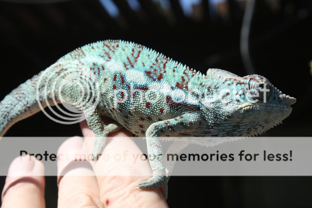 5-1-2010067.jpg
