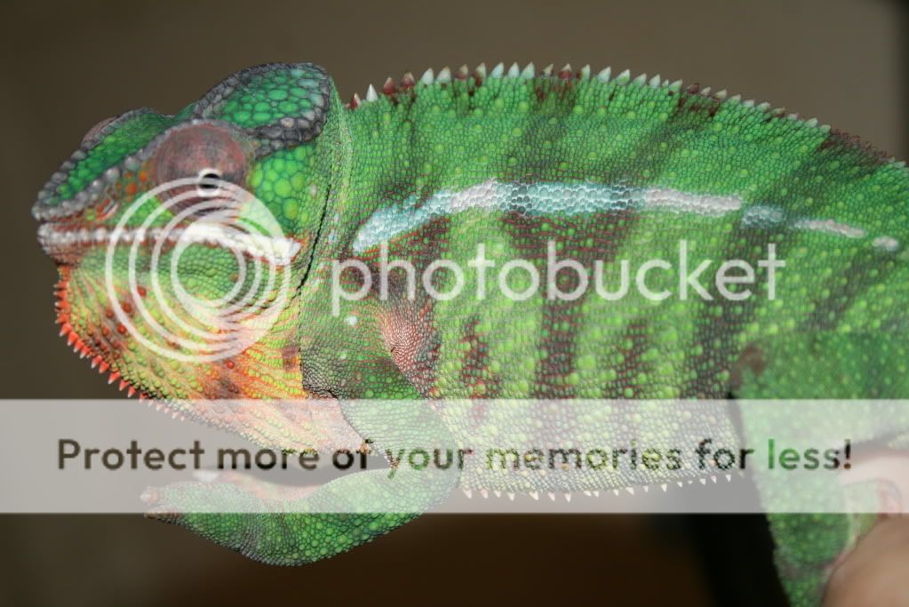 picsfromtoday022.jpg