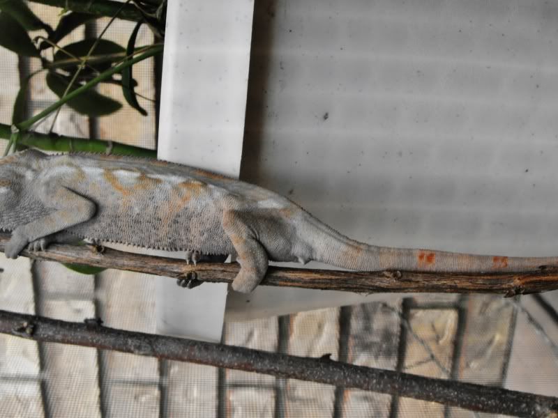 DSCF4033.jpg