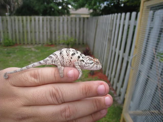 IMG_0365.jpg