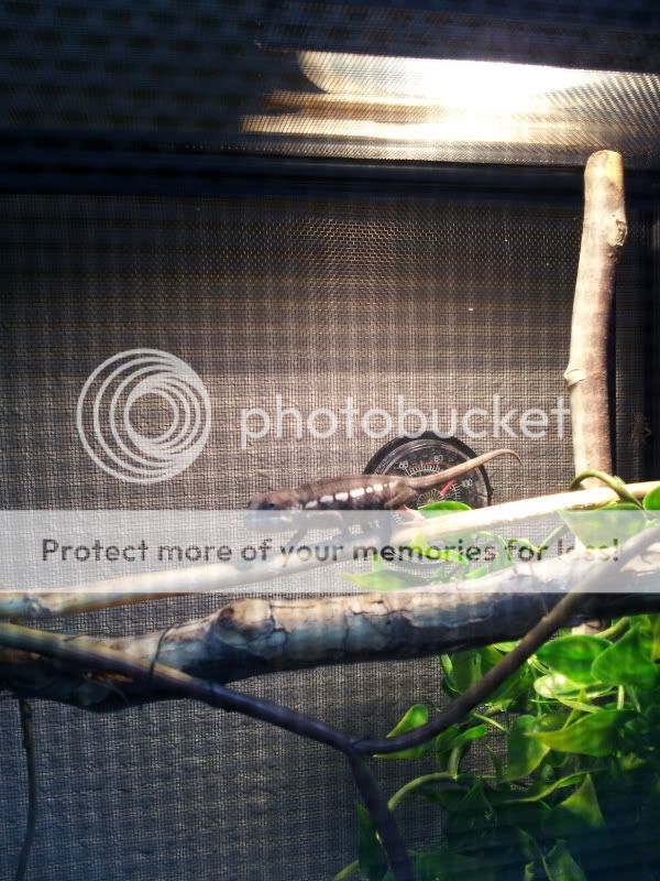 20120416_203412.jpg