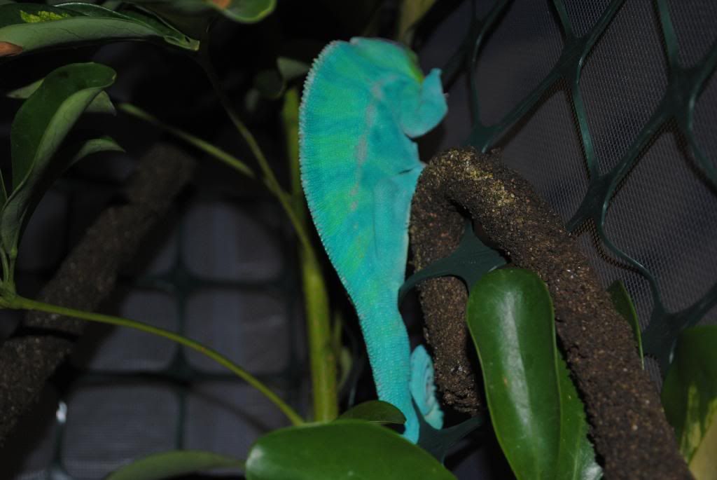 DSC_0443.jpg