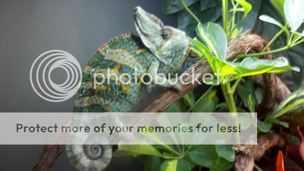 2011-07-18_13-25-32_977.jpg