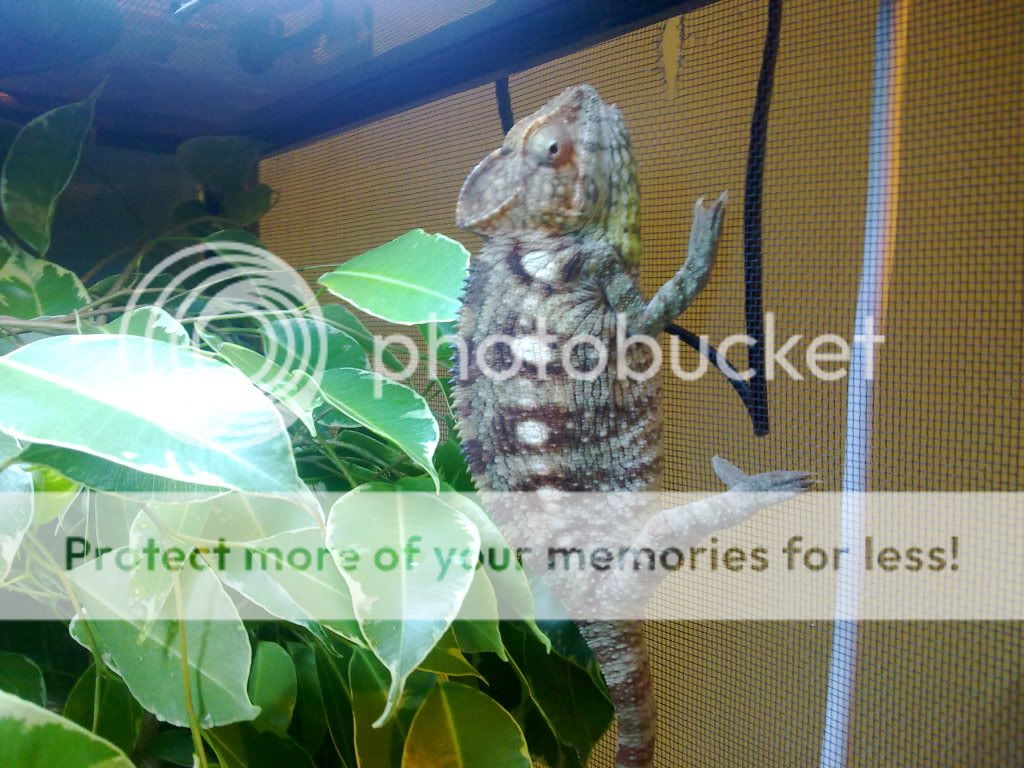 19072010121.jpg