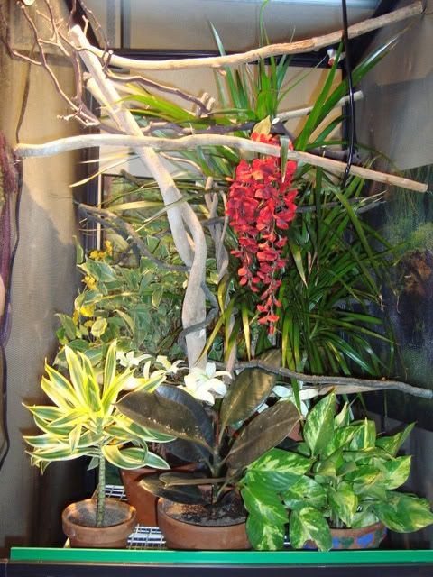 DSC01065.jpg