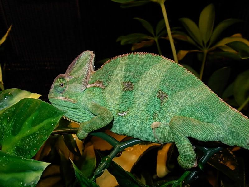 DSCN2807.jpg