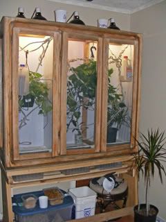 ImportedPhotos00009.jpg