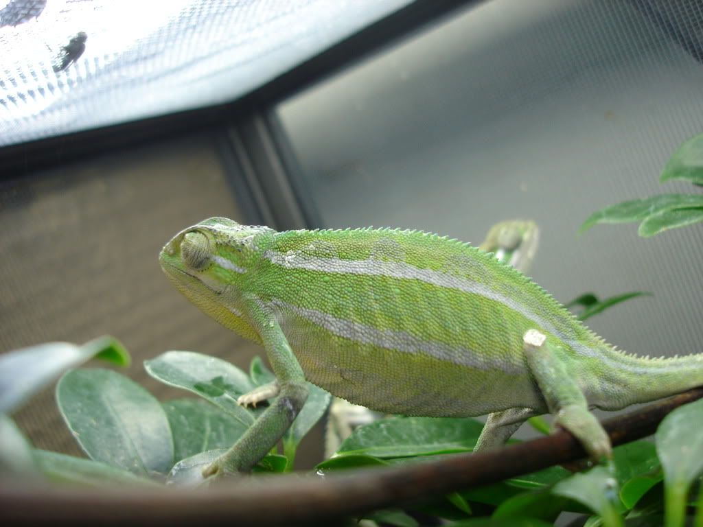 016-1.jpg
