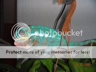 DSCN0622.jpg