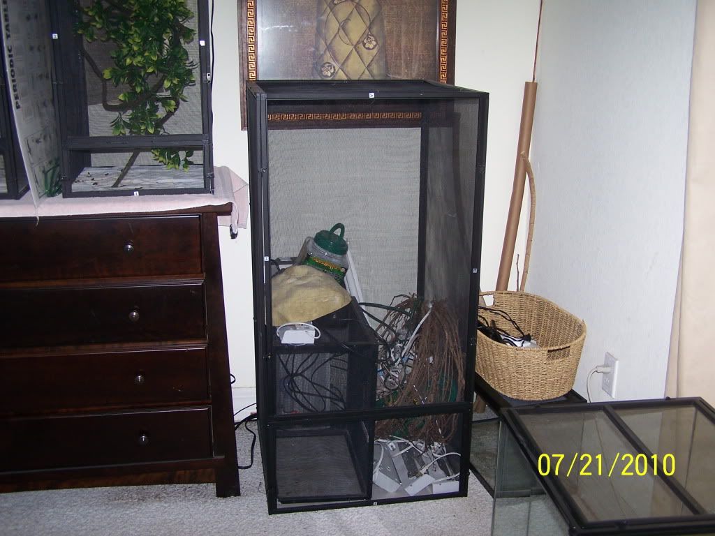 100_3416.jpg