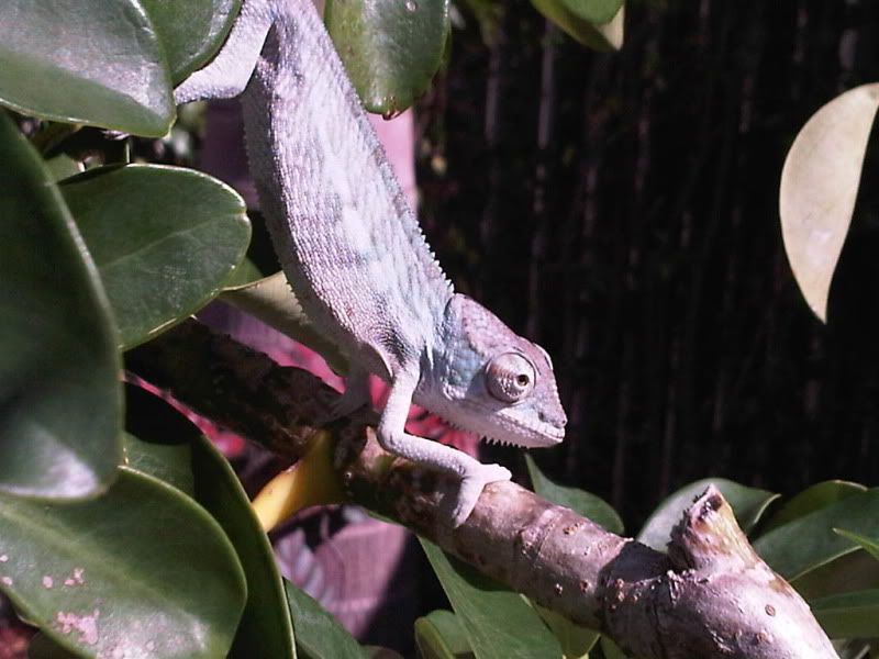 IMG01436-20111123-1219.jpg