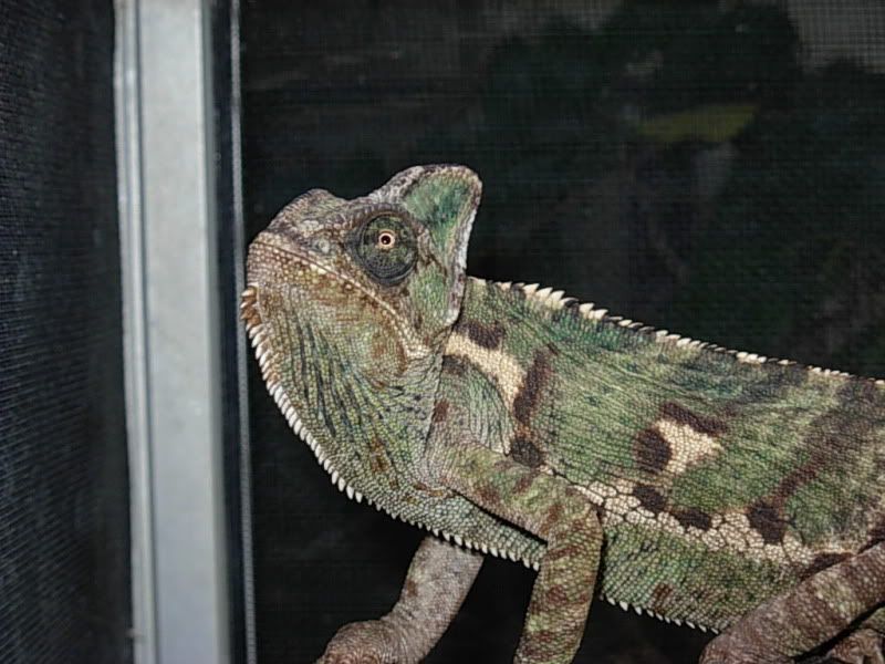 DSCN8270.jpg