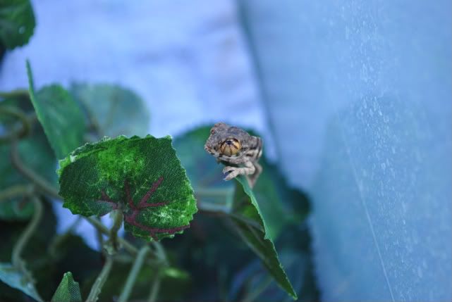 DSC_00637.jpg