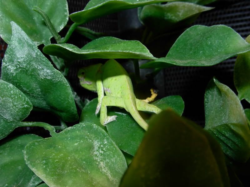 DSCN8669.jpg