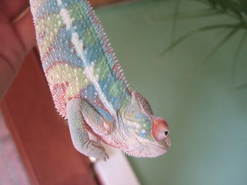 DSCF4394.jpg