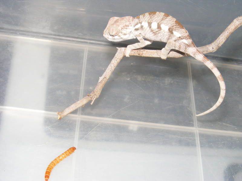 DSCF1725.jpg