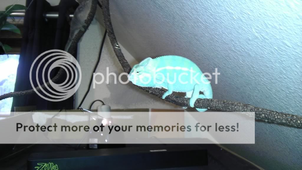 IMAG0241.jpg