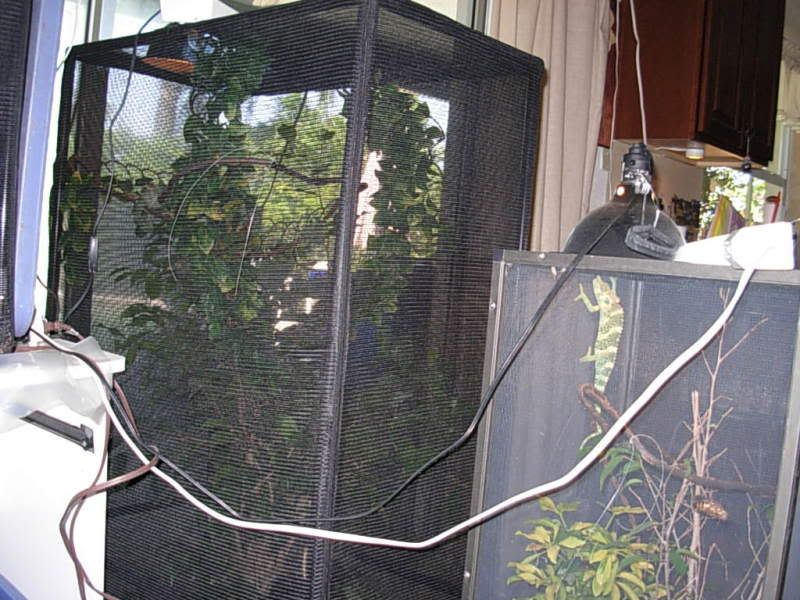 DSCN4035.jpg