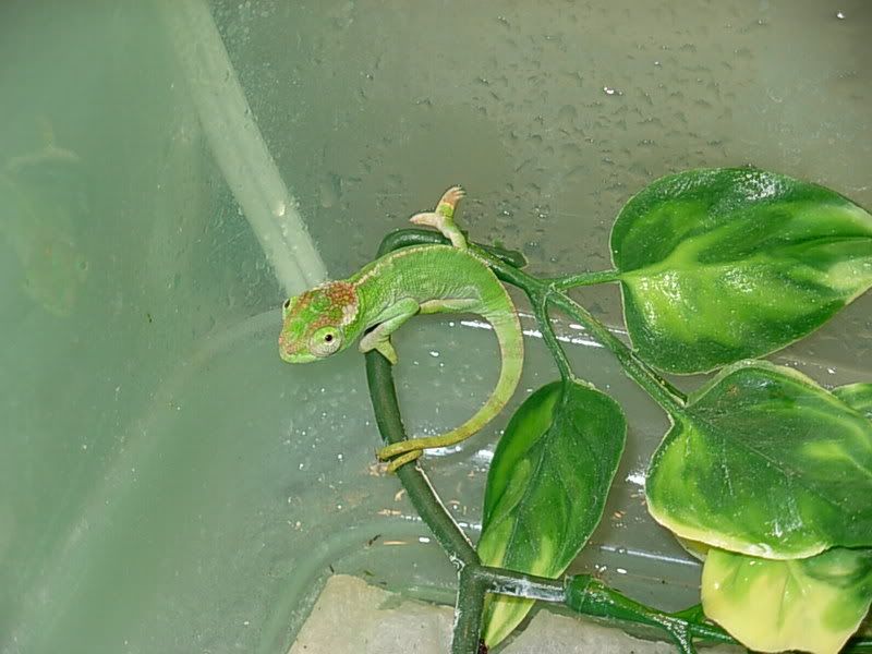 DSCN0566.jpg