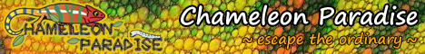 chameleonparadise.jpg