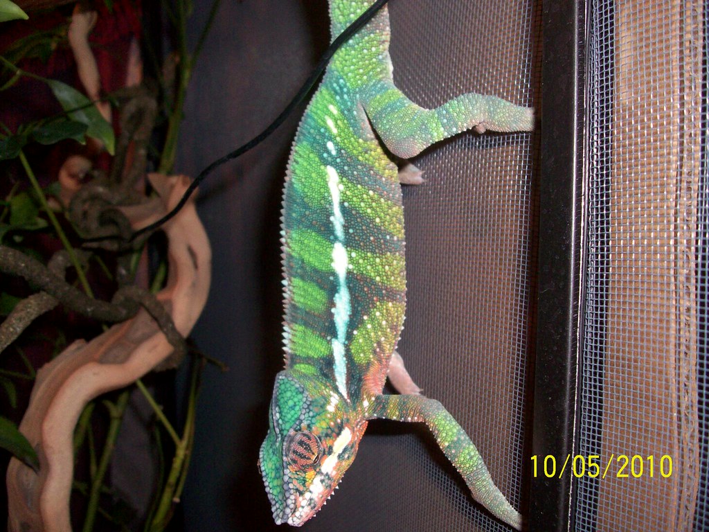 5056175590_7b05c9cdaf_b.jpg