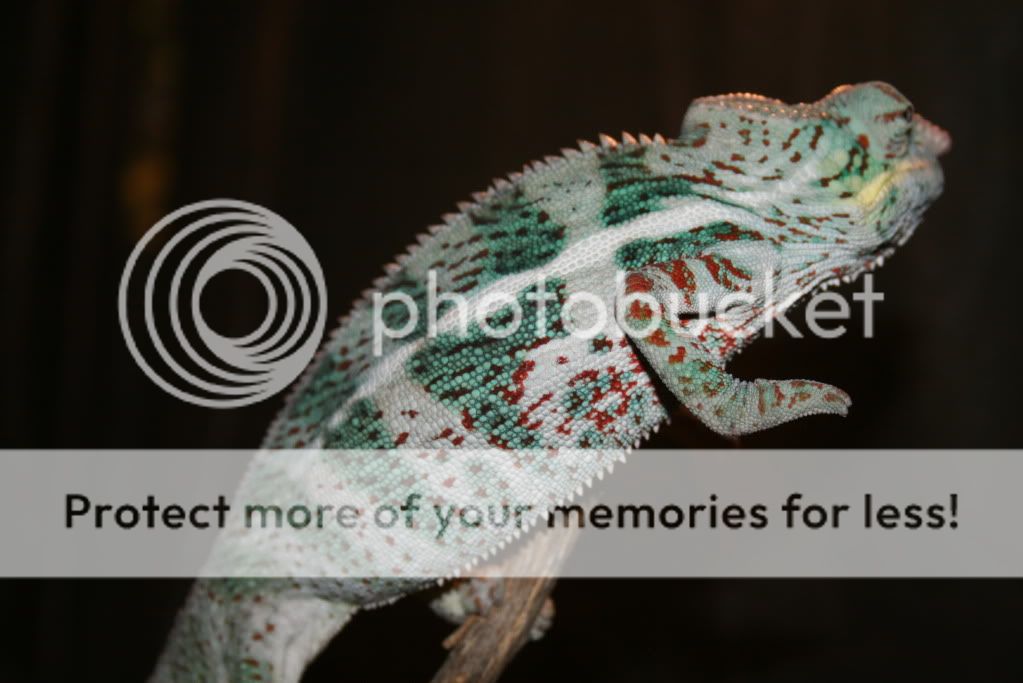 picsfromtoday028.jpg