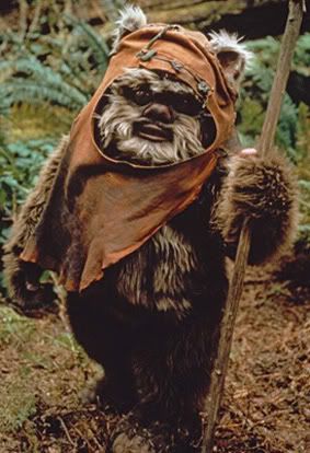 ewok.jpg