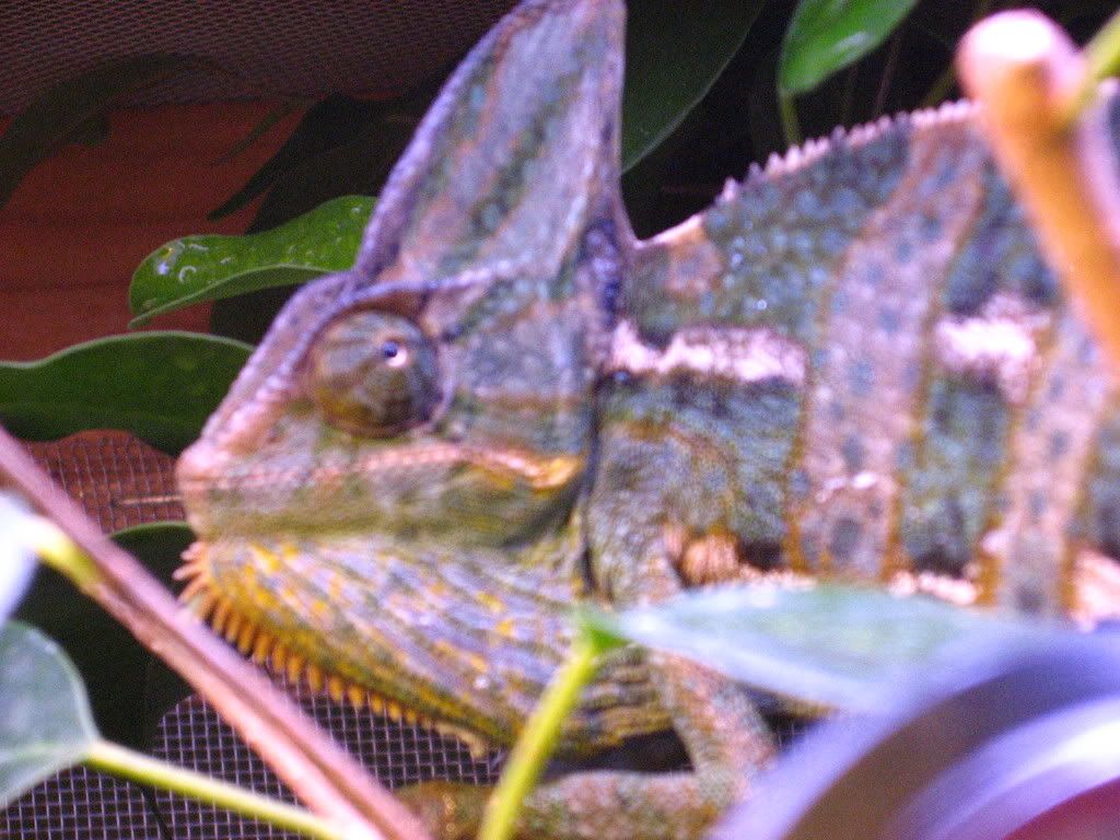 IMG_2283.jpg