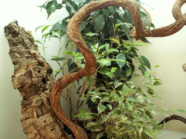 PICT0088.jpg