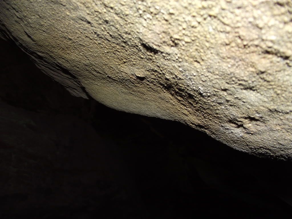 018-7.jpg
