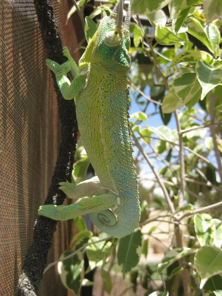 IMG_6825.jpg