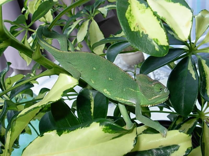 DSCN2834.jpg