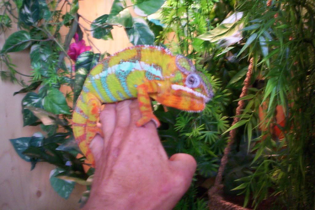 100_6151.jpg