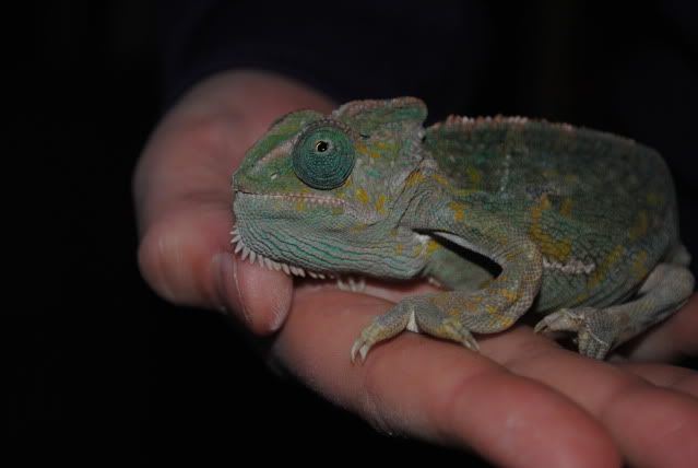DSC_0121.jpg