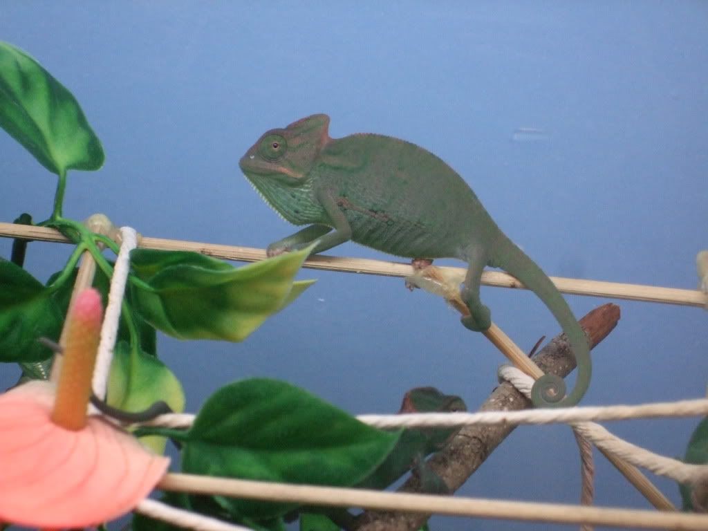 ghhjk001.jpg