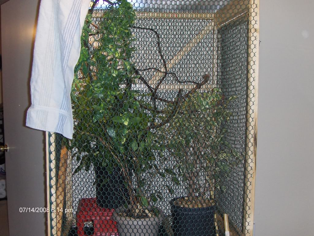 HPIM0832.jpg