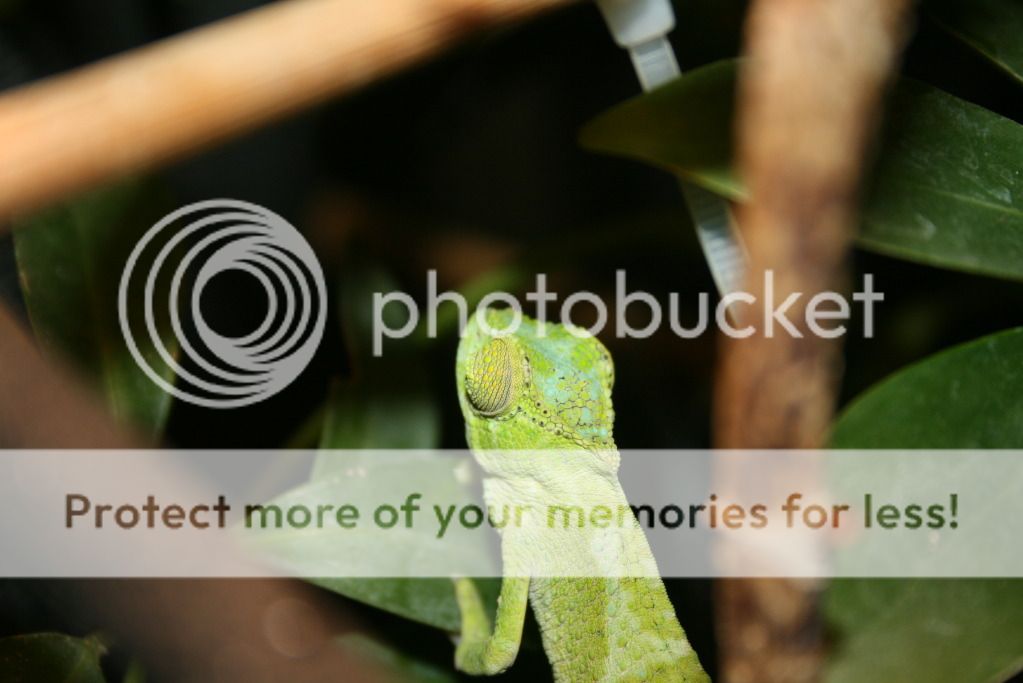 moresundaypics017.jpg