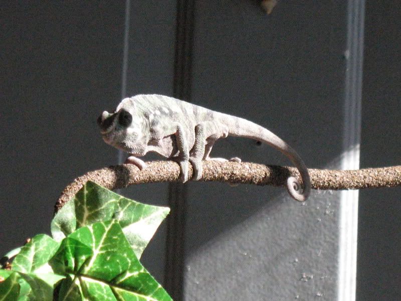 IMG_1256.jpg