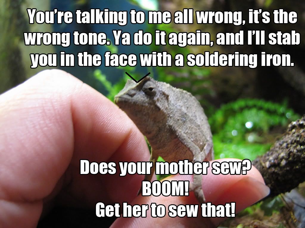 boom.jpg