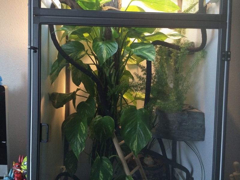 anarchys%20enclosure%204-11%20middle.jpg