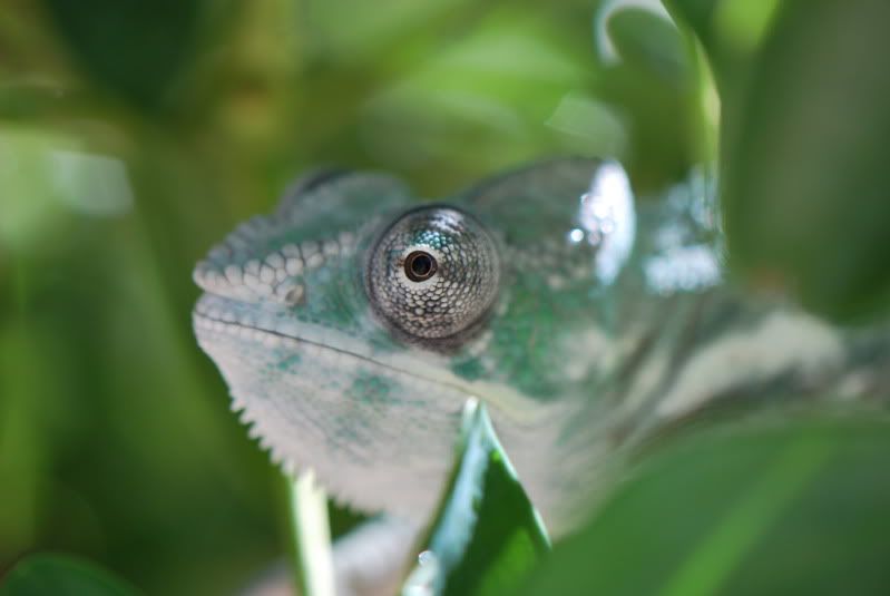 DSC_0221.jpg