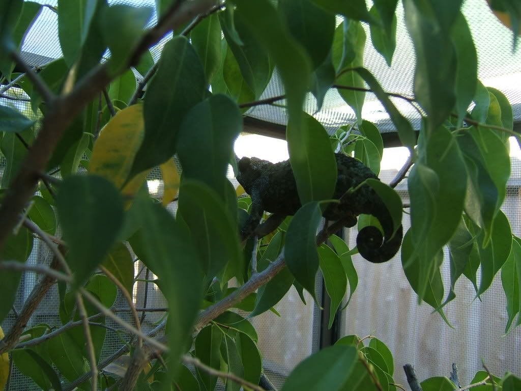 DSCF7723.jpg