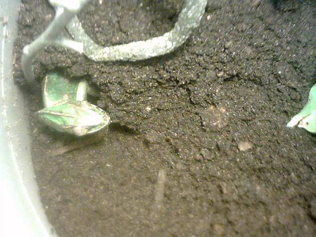 Picture006.jpg