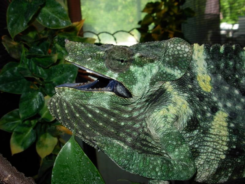 DSCN5316.jpg