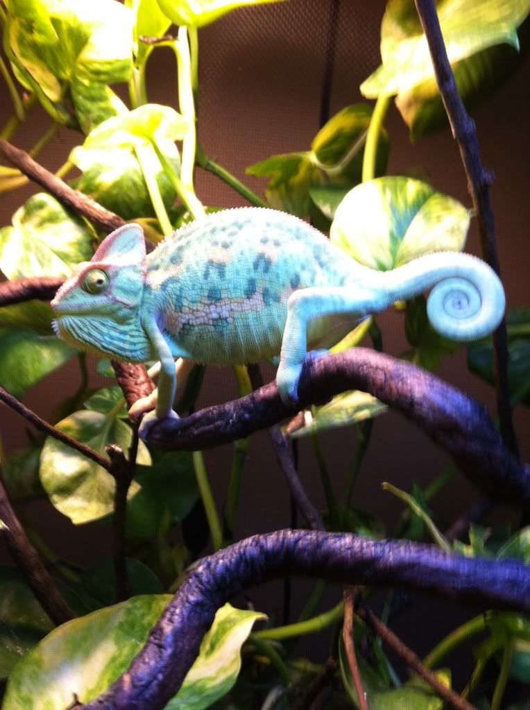 2012-10-08134003.jpg