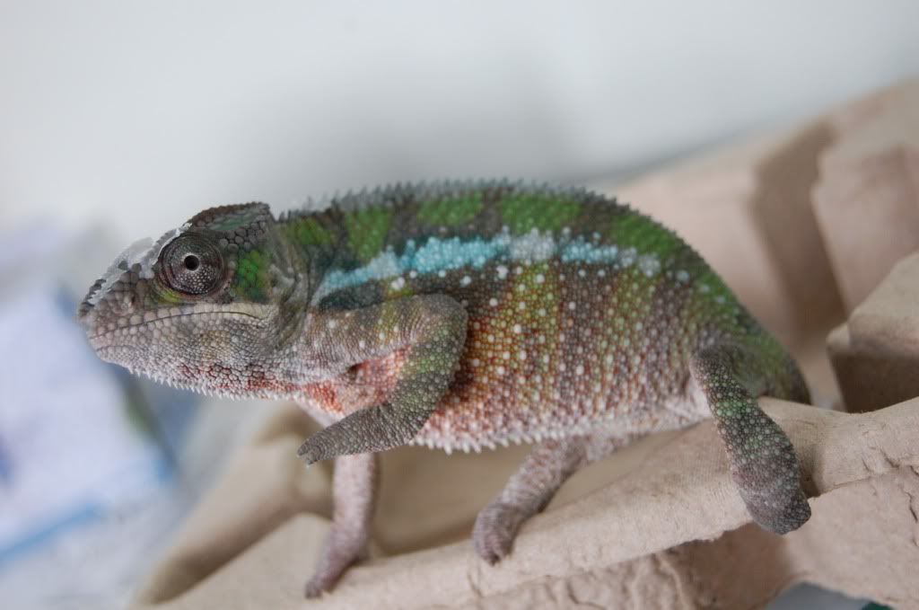 DSC_1120.jpg